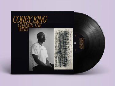 Vinyl LP