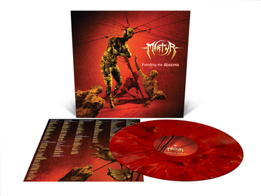 Marbled Vinyl LP