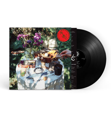 Black Vinyl LP