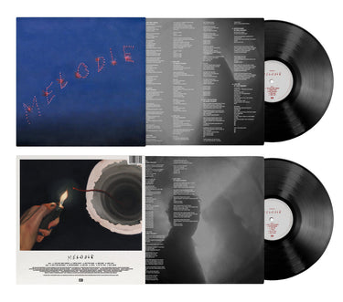 Black Vinyl LP