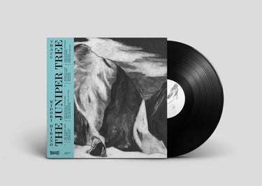 Black Vinyl LP