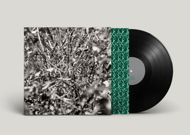 Black Vinyl LP