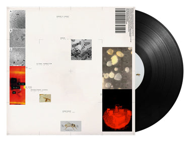 Vinyl LP