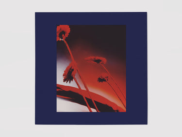 Vinyl LP