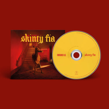 FONTAINES D.C - Skinty Fia