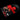 Black Vinyl LP