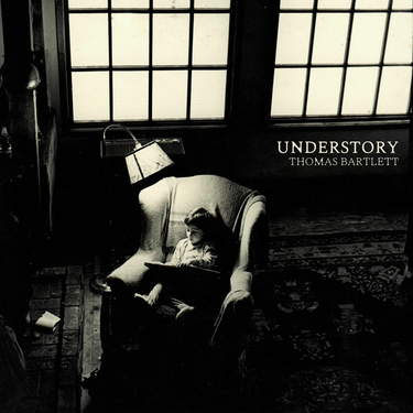 Thomas Bartlett - Understory