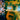 Various - Universal Love: 10 Years of Love Injection