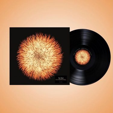 Vinyl LP