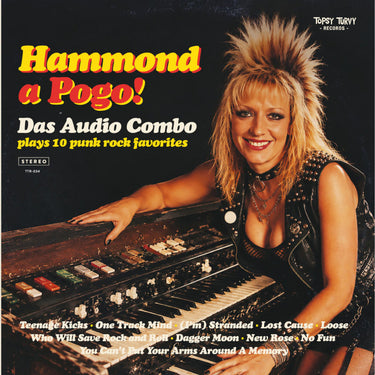 Das Audio Combo - Hammond A Pogo