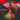 BLOC PARTY - Anatomy Of A Brief Romance