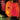 ALICE IN CHAINS - Jar Of Flies (Remastered 2024 Reissue)