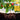 BLACK ROOTS - Roots