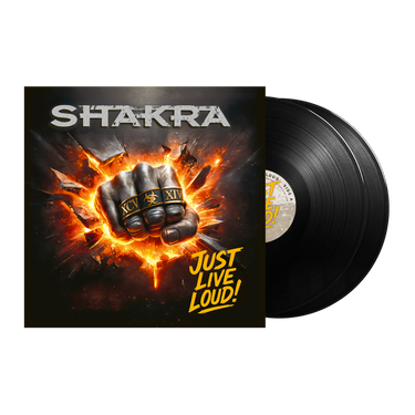 Vinyl LP