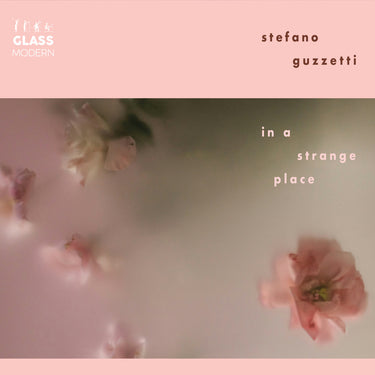 Stefano Guzzetti - In A Strange Place
