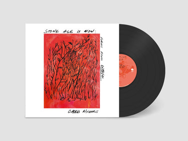 Black Vinyl LP