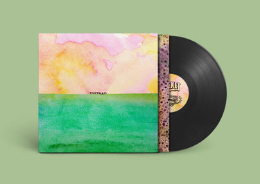 Black Vinyl LP