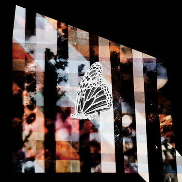 Indies Exclusive Vinyl LP
