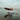 DANNY GROENLAND- burning rome - LP - Eco Vinyl