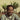 EARL SWEATSHIRT - Live Laugh Love - LP - Black Vinyl