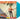 Limited Turquoise Vinyl LP