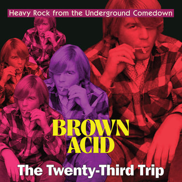 Various Artists - Brown Acid: The Twenty-Third Trip