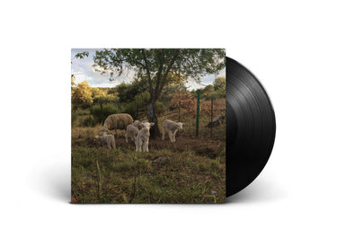 Black Vinyl LP