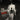 PYE CORNER - The Endless Echo - LP - Vinyl