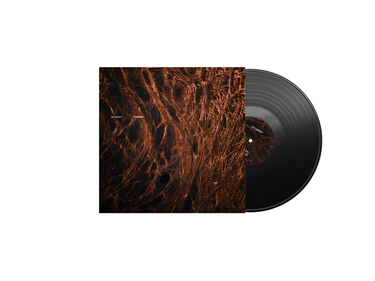 Black Vinyl EP