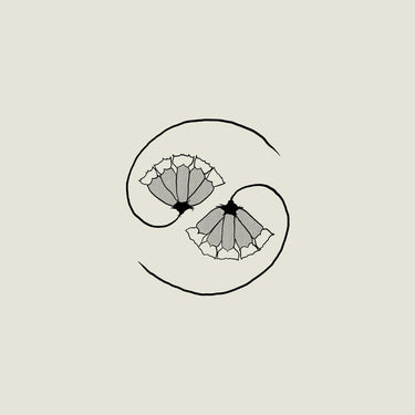Vinyl LP + Bonus 10"