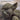 SONS OF SOUTHERN ULSTER - Through the Bridewell Gate - CD
