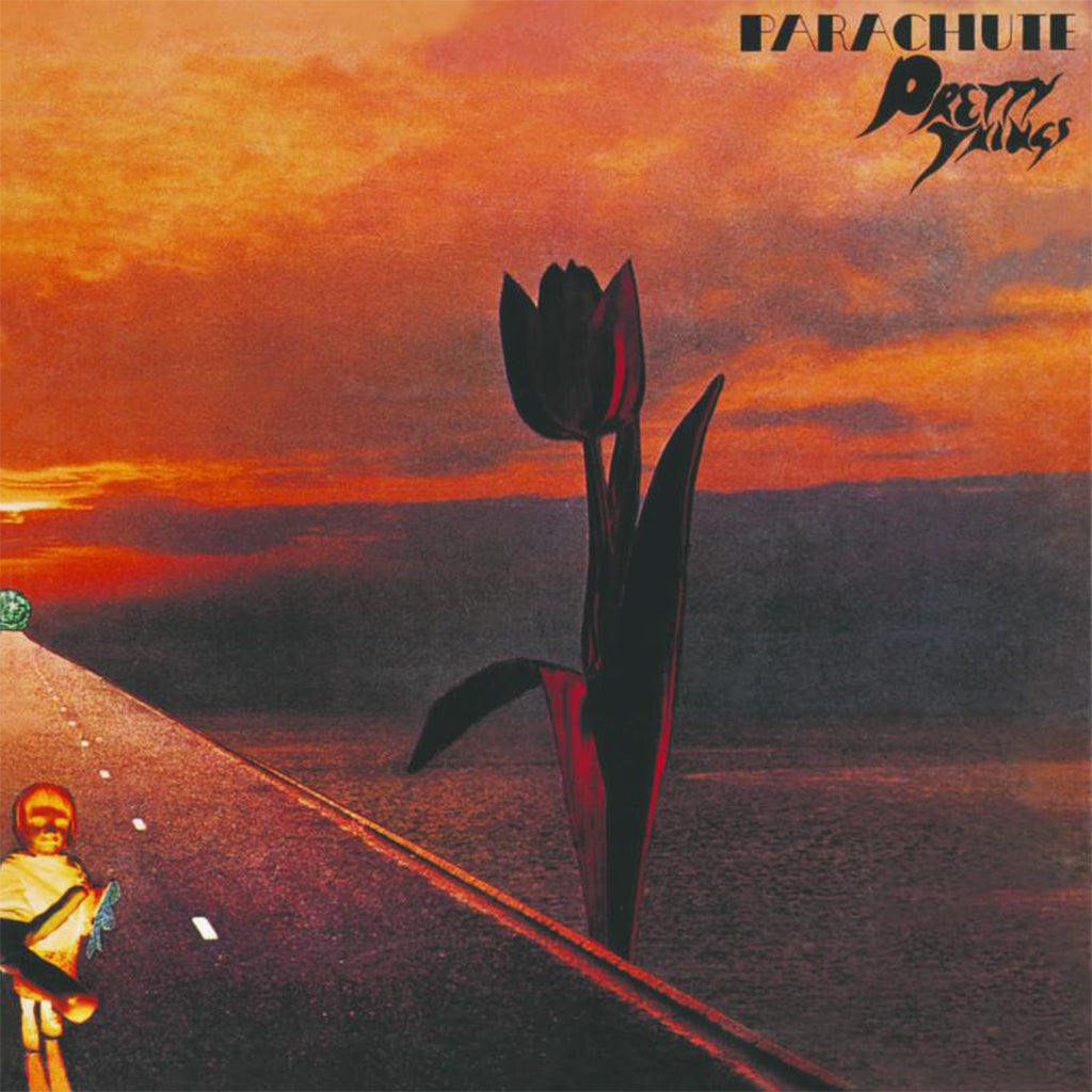 THE PRETTY THINGS ガレージ LP The Pretty Things - The Pretty