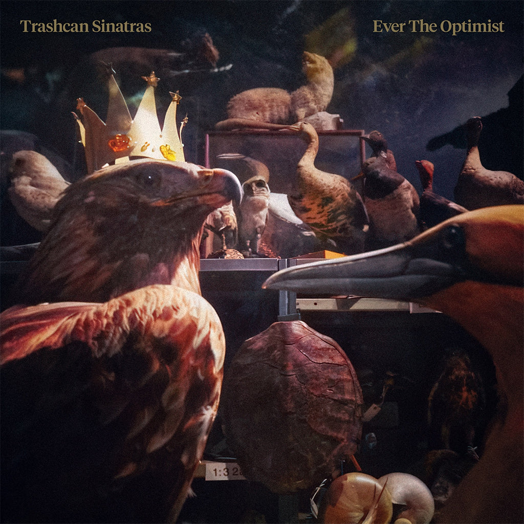 trash can sinatras デモ、B面2枚セット　+ ライブDVD1枚 Trashcan Sinatras Duet With Camera Obscura's Tracyanne Campbell To