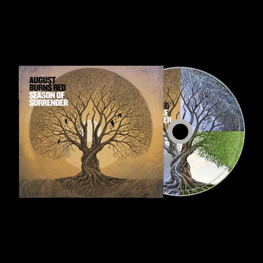 CD