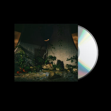 CD