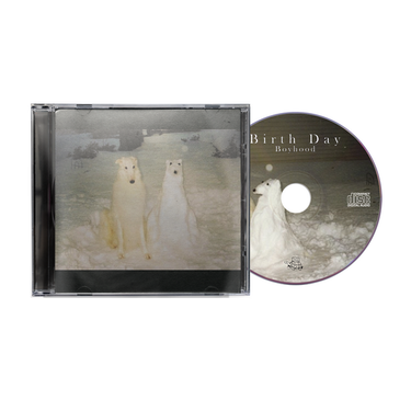 CD