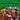 VARIOUS - Vintage Sounds: Merry Christmas (The Greatest Christmas Songs from Jazz Divas & Crooners Legends) - LP - Vinyl