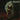 Warning - Rituals of Shame