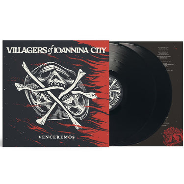 Vinyl 2LP
