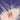 Taste - ½ Fantasy