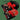 Haircut 100 - Boxing The Compass