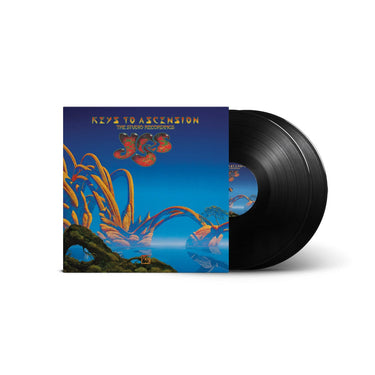 Black Vinyl 2LP