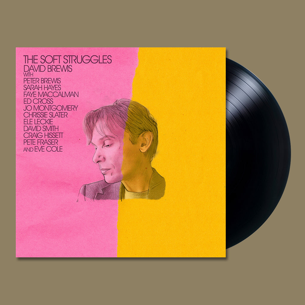 DAVID BREWIS - The Soft Struggles - LP - Vinyl [FEB 24]