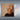 GRAHAM NASH - Now - CD