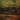 NEIL YOUNG - Time Fades Away - CD