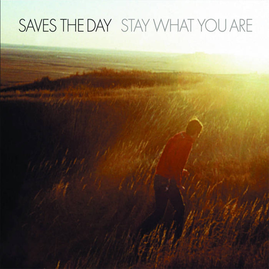 SAVES THE DAY - Stay What You Are (2022 Reissue) - 10" x 2 - Gatefold White with Yellow / Red Splatter Vinyl