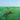 SQUID - Bright Green Field - CD