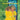 THE BETHS - Future Me Hates Me - LP- Limited Neon Yellow Splatter