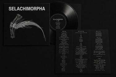 Black Vinyl LP