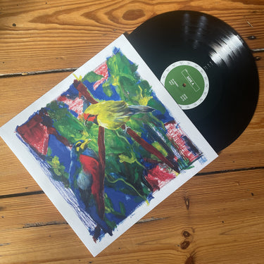 Black Vinyl LP